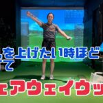 【絶対に失敗しない】フェアウェイウッド