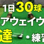 【ゴルフ練習法】1日30球でフェアウェイウッドが得意になる