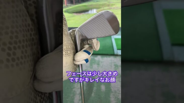 ゼクシオエックス！【見た目も打感もやさしさも】