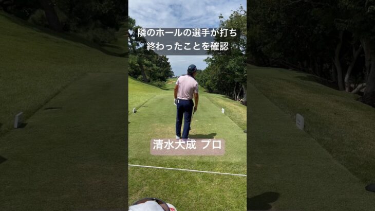 力感のないスイング ドライビングディスタンス300yd 清水大成プロ　#shorts #short #golf #男子ゴルフ