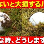 【知らないと損】ボールに泥がついてる時、地面に食い込んだ時、どうする？【全ゴルファー必見】