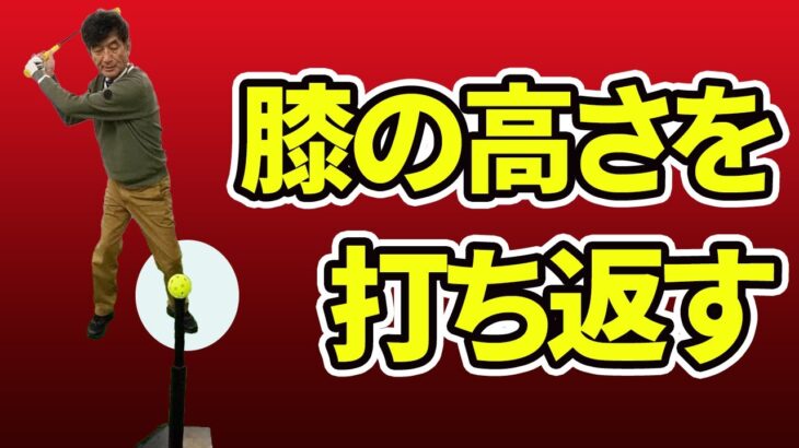 膝の高さのボールを打ち返す感覚でトップの位置は正しくなる【新井淳】【投げ縄スイング】