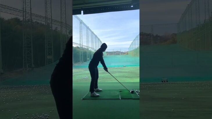 イユルリン Yool Lyn Lee