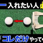 【岩本論】パターが今より上手くなる！パッティングが上手い人下手な人の差を解説します！【岩本砂織】【かえで】