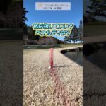 【ゴルフルール】杭は抜いて良い？ #ゴルフ #golf #救済
