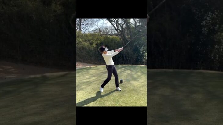 Chie Sakai 酒井千絵  #golf #ゴルフ #golfswing
