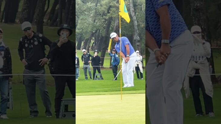 松山英樹　正面からの柔らかいアプローチ　#ゴルフ　#アプローチ　#松山英樹