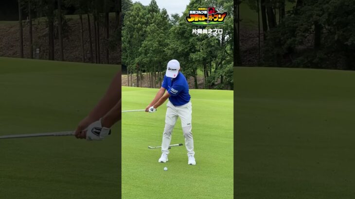 【日本一パットが入る男】その理由はアイアンの精度だった!  #片岡尚之 #ゴルフ対決  #ゴルフ #ゴルフスイング  #ホトオープン  #golf
