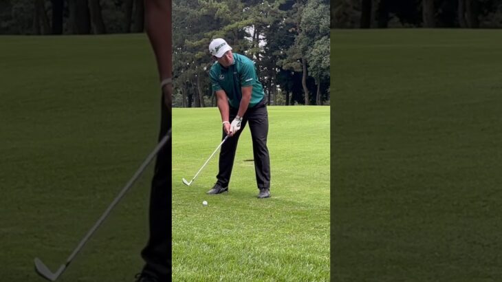 ZOZOチャンピオンシップ2024【松山英樹】アイアンショット #zozochampionship #golf #pgaツアー #shortsvideo