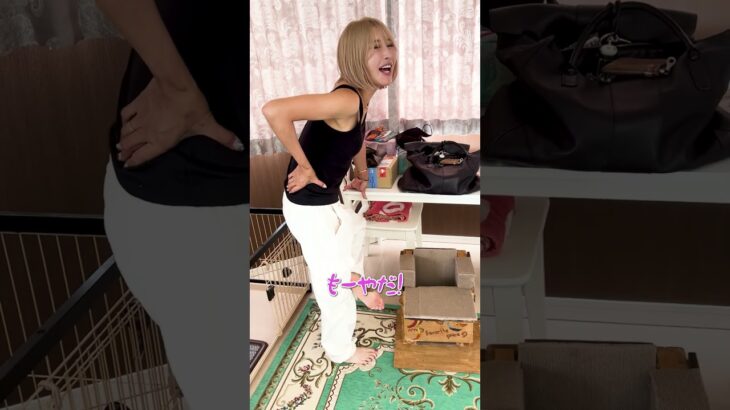 【女子プロゴルファー】犬のウンコ踏んだ…(泣) #shorts #女子プロゴルファー  #ゴルフ女子