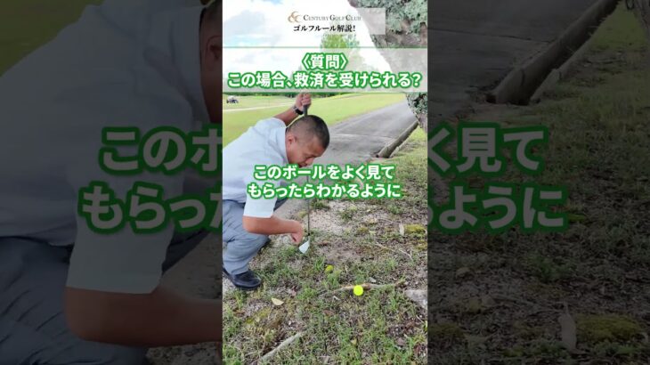 救済クイズ「これは救済？」 #ゴルフ #ゴルフルール #センチュリーゴルフクラブ