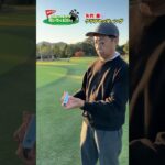 【気になるクラブセッティング】おぎやはぎ・矢作兼のゴルフバッグの中身は!?【アイアン編】 #プロキャディ #golf #プロゴルファー,#プロキャディー ,#武井壮