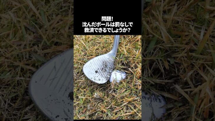 沈んでいるかも？ボールの確認方法と救済方法 #shorts