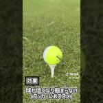 絶対に知っておくべき【ティの挿し方】4選