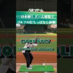 【ゴルフイベント】野球場がゴルフの打ちっぱなしに　ニアピンチャレンジ豪華な特典