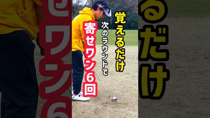 【覚えるだけ】寄せワン6回して注目の的になろう【毎日アプローチ】 #アプローチ練習 #ゴルフ #100切り