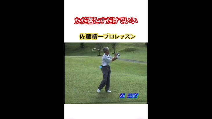 ただ落とすだけでいい‼️佐藤精一プロレッスン #ゴルフ #golf #佐藤精一 #ゴルフレッスン #ゴルフスイング