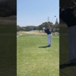 期待の若手レフティー細野勇策プロのドライバーショット #ゴルフ #ゴルフスイング #golf #jgto #golfswing #driver
