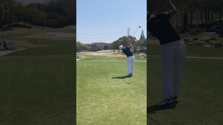 期待の若手レフティー細野勇策プロのドライバーショット #ゴルフ #ゴルフスイング #golf #jgto #golfswing #driver