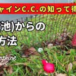 【ゴルファー必見】池のフェンスに止まったボール。どう処置する？赤杭（ペナルティエリア）の救済方法を解説!!