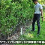 OBにある障害物　JGAゴルフルール