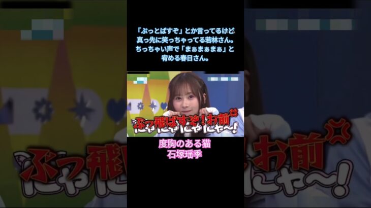 度胸のある猫 #石塚瑶季 #日向坂 #日向坂で会いましょう