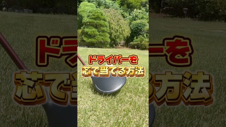 ドライバーを毎回芯で当てる方法#ゴルフ #ゴルフレッスン #ゴルフ初心者 #ドライバー