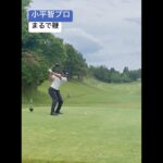鞭のようにしなって見える小平智プロのドライバーショット Satoshi Kodaira #ゴルフ #ゴルフスイング #golf #golfswing