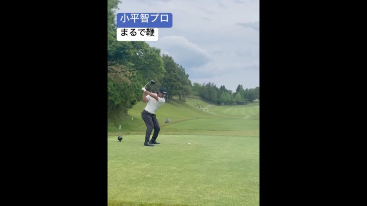 鞭のようにしなって見える小平智プロのドライバーショット Satoshi Kodaira #ゴルフ #ゴルフスイング #golf #golfswing