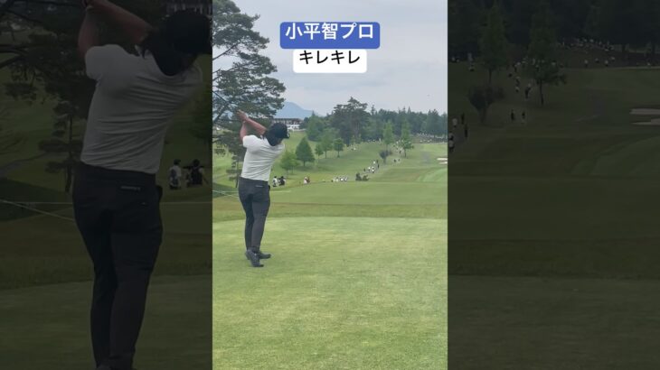 やっぱりカッコいい 小平智プロのドライバーショット Satoshi Kodaira #pga #ゴルフ #ゴルフスイング #golf #golfswing #jgto