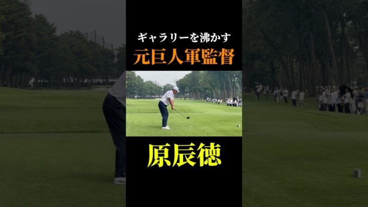 原監督がシニアツアーに挑戦