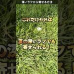 ラフからのアプローチのコツ。 #ゴルフレッスン #ゴルフ #てらゆー