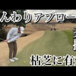 余計な事はしないふんわりアプローチ