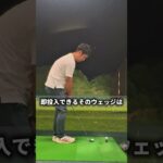 オーソドックスなアプローチができるPing S259ウェッジ#ゴルフ #ゴルフスイング #golfgear